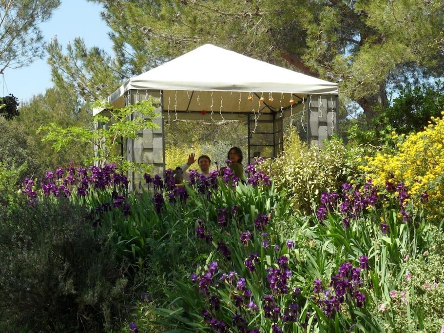 L'Oliveraie En Provence ลอมเบสค์ ภายนอก รูปภาพ